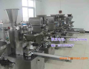 云南保山包子机采购指南 厂家、价格与技术咨询全解析