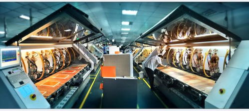 江西龙南 争当对接融入粤港澳大湾区排头兵的上海技术咨询视角